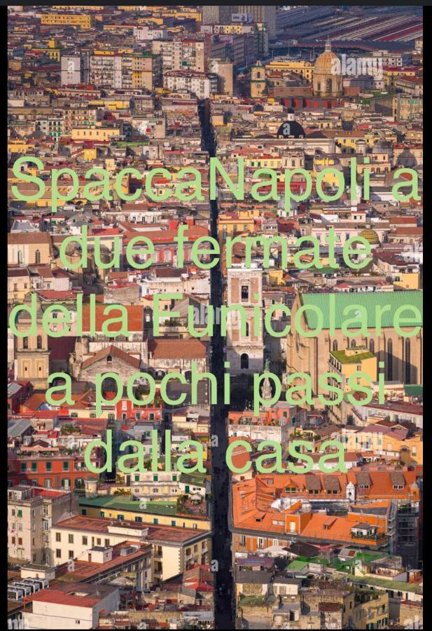 Lab Exclusive Arenella - Apartment